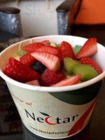 Nectar Frozen Yogurt Lounge food