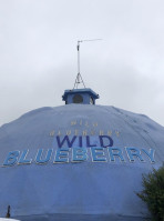 Wild Blueberry Land inside