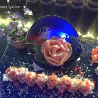 Yuki Sushi Hibachi food