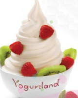 Yogurtland food