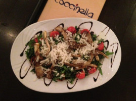 Coccinella food