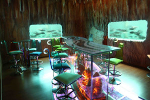 Dragon's Cave Aquarium inside