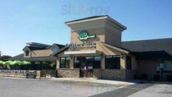 The Greene Turtle Sports Grille Dover food