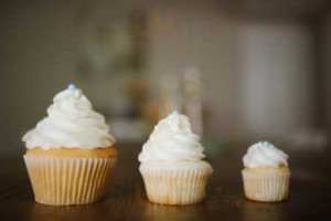 Cupcake Concept food