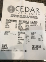 Cedar Sub And Salad menu
