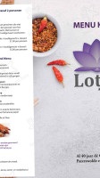 Chinees Indisch Lotus Paterswolde Geverifieerd food