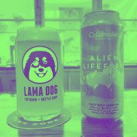 Lama Dog Tap Room food