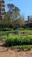 Perth City Farm Cafe food