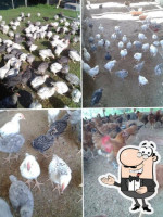 Apo Free Range Chickens At Davao Del Sur Area food