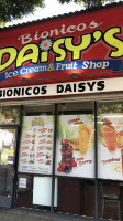 Bionicos Daisy's food