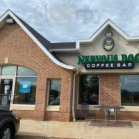 Nervous Dog Coffee Bar inside