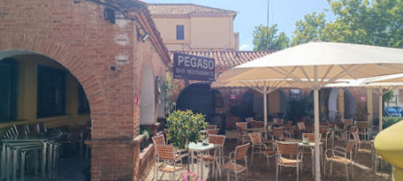 Pegaso food