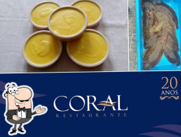 Coral food