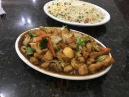 Wok Comida Chinesa food