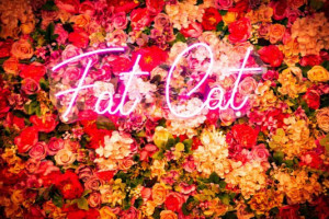 Fat Cat Cafe inside