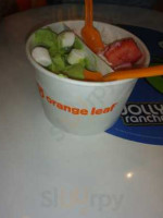 Orange Leaf Frozen Yogurt food