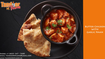 Tandoor N Flame An Indian Cuisine food