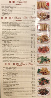 Asia Garden Chinese Restaurant menu