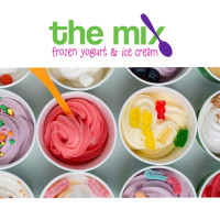 The Mix Frozen Yogurt Desserts food