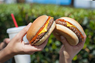 Hamburger Stand food