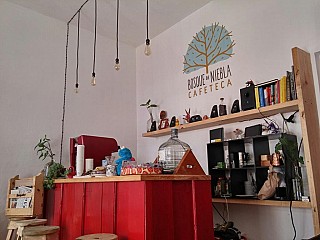 Bosque De Niebla Cafeteca