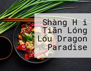 Shàng Hǎi Tiān Lóng Lóu Dragon Paradise