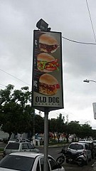 Old Dog Feira de Santana