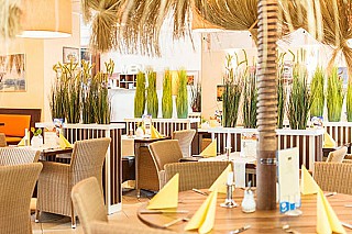 Café & Restaurant Palmengarten