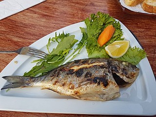 Marti-Fischrestaurant