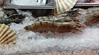 Mesogios Seafood Mamaia