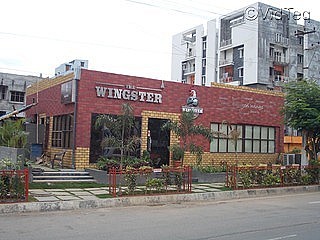 The Wingster