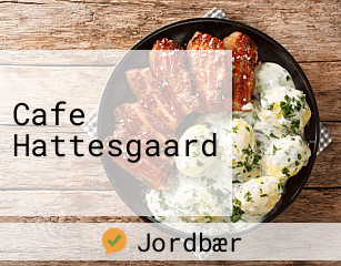 Cafe Hattesgaard