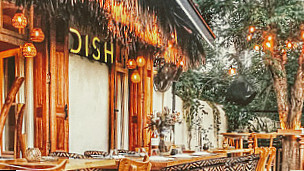 Dish Bar Party Restaurant