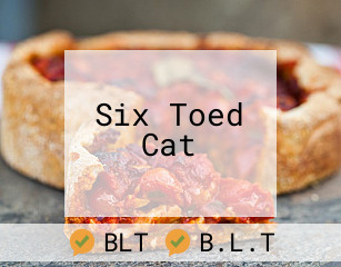 Six Toed Cat