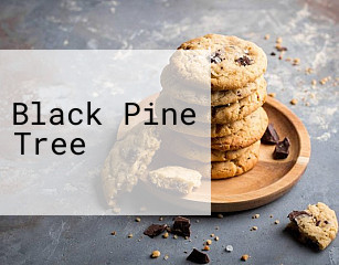 Black Pine Tree