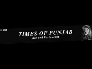 Times Of Punjab