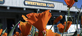 Sweetwater Cafe