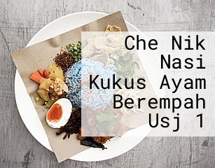 Che Nik Nasi Kukus Ayam Berempah Usj 1