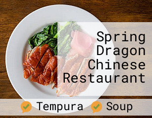 Spring Dragon Chinese Restaurant