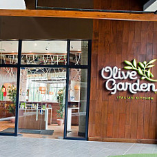 Olive Garden Terrazas Lindora