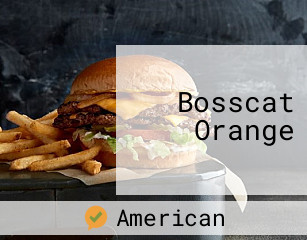 Bosscat Orange