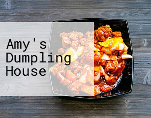 Amy's Dumpling House