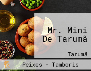 Mr. Mini De Tarumã