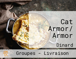 Cat Armor/ Armor