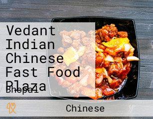 Vedant Indian Chinese Fast Food Plaza