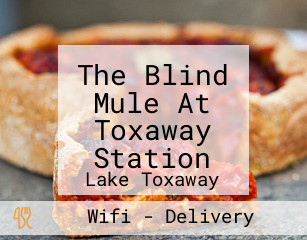 The Blind Mule At Toxaway Station