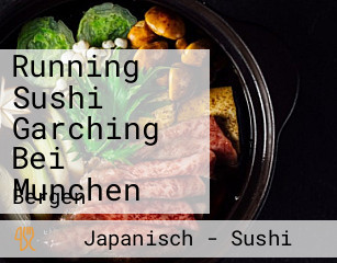 Running Sushi Garching Bei Munchen