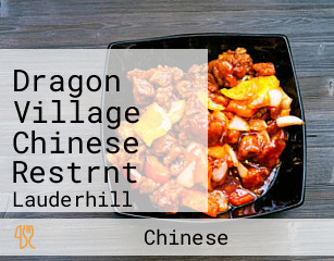 Dragon Village Chinese Restrnt