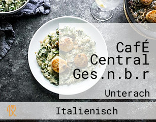 CafÉ Central Ges.n.b.r
