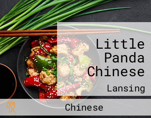 Little Panda Chinese